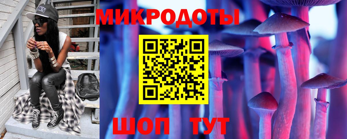 Псилоцибиновые грибы мицелий Зерноград